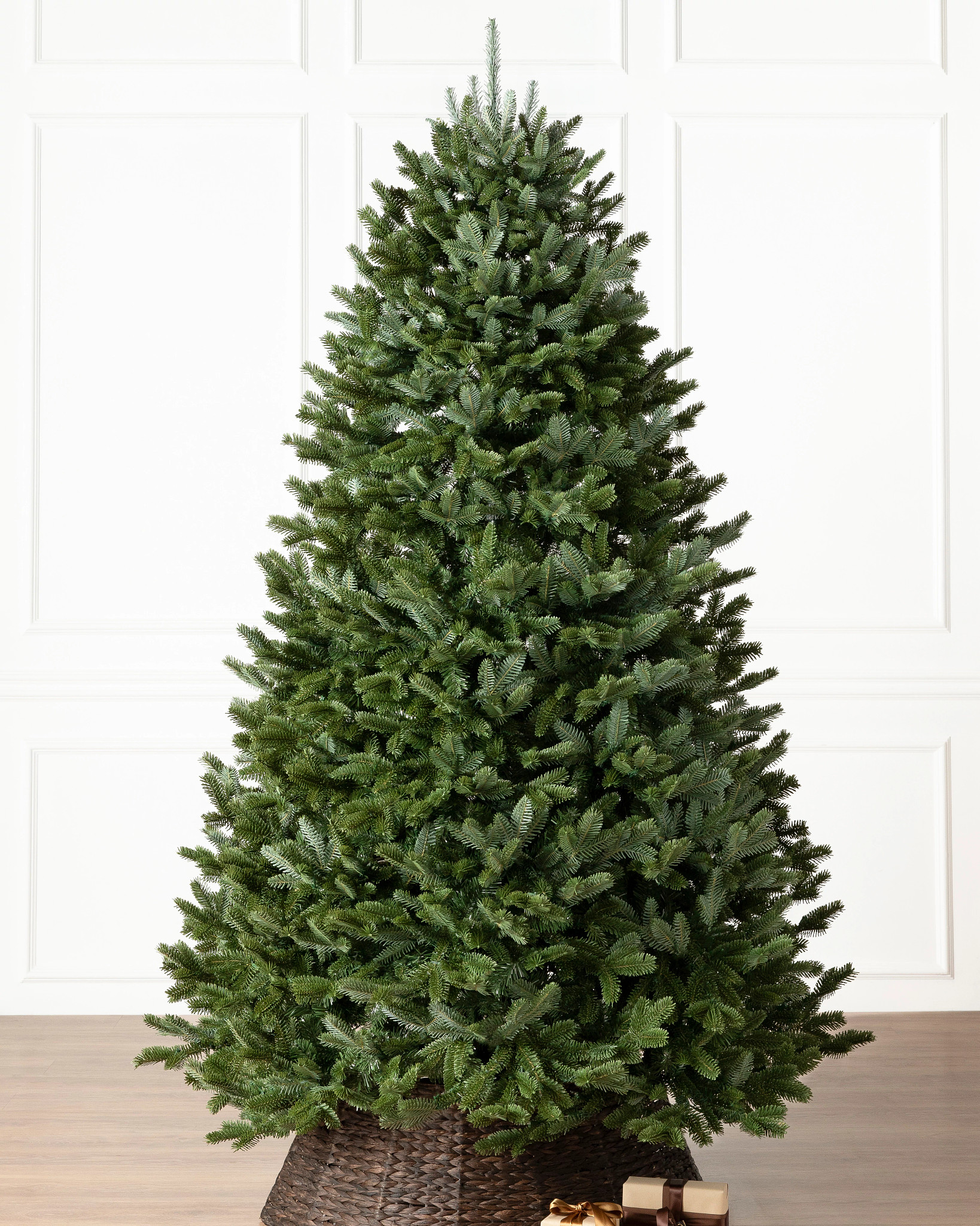 BH Fraser Fir